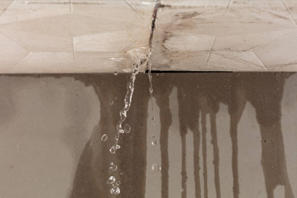 Professional Water Damage Repair technician working in Hookerton, NC